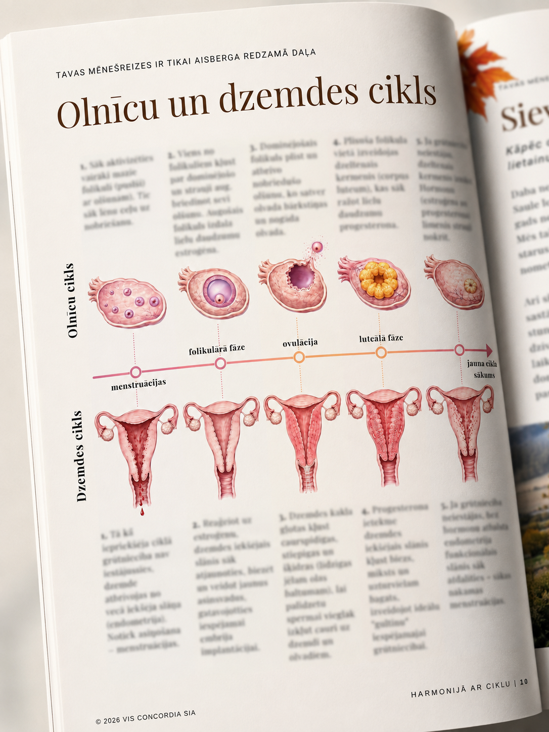 Ieskats izdevuma lappusē par olnīcu un dzemdes ciklu
